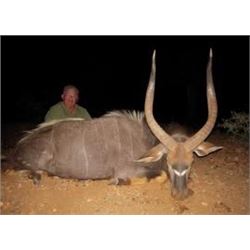 Plains Game Safari – Mpumalanga Province South Africa