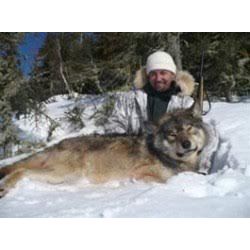 Ontario Wolf Hunt