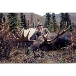 Alaska Moose