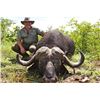 Image 1 : Cape Buffalo, South Africa