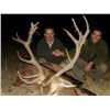 Image 1 : Argentina Red Stag