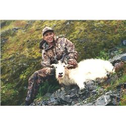 Alaska Mountain Goat