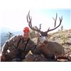 Image 2 : 5-Day Wilderness Wyoming Trophy Mule Deer or Rocky Elk  (Bidders Choice)