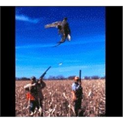 Pheasant Hunt, South Dakota – 3 day Pheasant hunt for 4 Hunters in Presho, South Dakota.