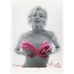 BERT STERN: MARILYN MONROE PINK CLASSIC ROSES.