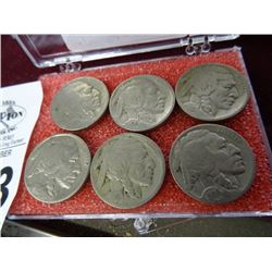 6 Pc. Set of Old Buffalo Nickels