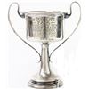 Image 1 : Sterling silver plated trophy dated 1911