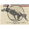 Image 2 : Advertiser 1929 "Indian Days"  Council of American