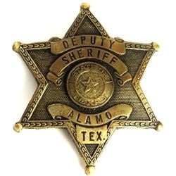 Authentic Deputy Sheriff 6 point star badge