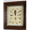 Image 1 : Framed collection of 14 early SD points,