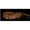 Image 1 : Woven Cedar Headband with Abalone Inlay Fine Condition…