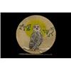 Image 1 : Old Northwest Coast Painted Deerskin Drum Owl Design with Beater by Earl Seymour 16" W. Good Co…