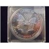 Image 1 : 1989 AMERICAN SILVER EAGLE UNC