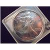 Image 1 : 1993 AMERICAN SILVER EAGLE