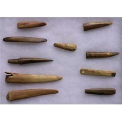 Nine Inuit Walrus Ivory Artifacts and One Antler Artifact 7" L. - 2 1/2" L. Good Condition Not…