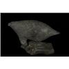 Image 1 : Inuit Carved Soapstone Seal on Rock by Anon from Coral Harbor 5 3/4" L. Good Condition…