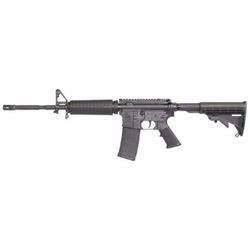 *NEW* ARMALITE DEFENDER 15F 223 REM | 5.56 NATO 16  AS 30+1 SYN BLK 651984014264