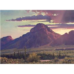 Michael Stack | b. 1947 Master AOA | Sonoran Desert Morning