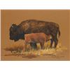 Image 1 : Gary Swanson | 1941 - 2010 | Buffalo and Calf