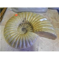 CONCRETE - SNAIL