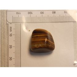 FREE FORM POLISHED TIGERS EYE