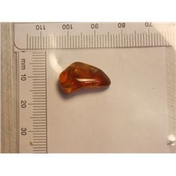 FREE FORM POLISHED AMBER