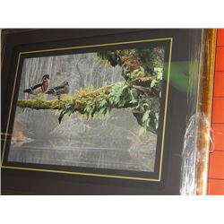 FRAMED LIMITED EDITION PRINT - OUT ON A LIMB - ROD FREDERICK - GALLERY ESTIMATE - $575