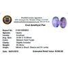 Image 2 : 30.28ctw Oval Amethyst Parcel