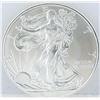 Image 1 : 2013 American Silver Eagle Dollar Coin