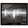 Image 1 : Orca Mist by Wyland