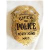 Image 1 : Gold Police Badge