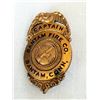 Image 1 : Fireman's Badge