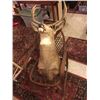 Image 1 : Snow Shoe Chair and Deer Mount