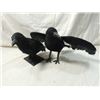 Image 1 : LOT 2 CROWS DECOYS STUFFED LIFE SIZE