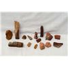 Image 2 : Collection of Petrified Wood Specimens