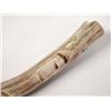 Image 2 : Zuni Carved Horn Snake Fetish, Turquoise Eyes