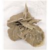 Image 3 : Rare Estate Selenite Desert Rose Specimen