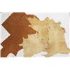 Image 1 : 3 Deer Hides and 1 Tanned Leather Hide
