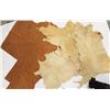 Image 2 : 3 Deer Hides and 1 Tanned Leather Hide