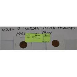 USA - 1CENT: 1906-1907