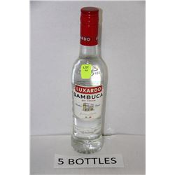 FIVE 375ML BOTTLES LUXARDO SAMBUCA 38%