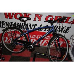 EVERYDAY CRUISING BIKE