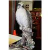 Image 1 : EAGLE