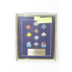 FRAMED DISPLAY OF LAPEL PINS
