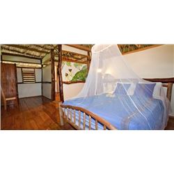 Belize Jungle Adventure for 4 Guests