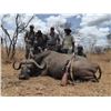 Image 1 : Tanzania Cape Buffalo Hunt for 1 Hunter and 1 Observer