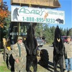 New Brunswick Canada Black Bear Hunt for 2 Hunters