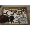 Image 1 : Tray Lot : Two Pairs RCMP style Riding Spurs w/leather - Three Pairs of Chrome Riding Spurs - Pair o