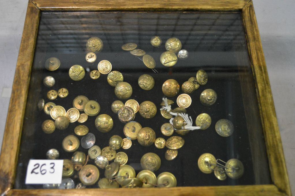 Wood Framed Display: Ant Brass Military & RCMP Collector's Buttons : R ...