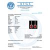 Image 3 : 14k Gold 13.00ct Ruby 1.50ct Diamond Earrings